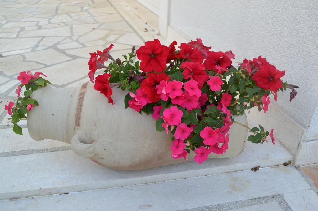 Apartments Oklopcic Trogir Dış mekan fotoğraf