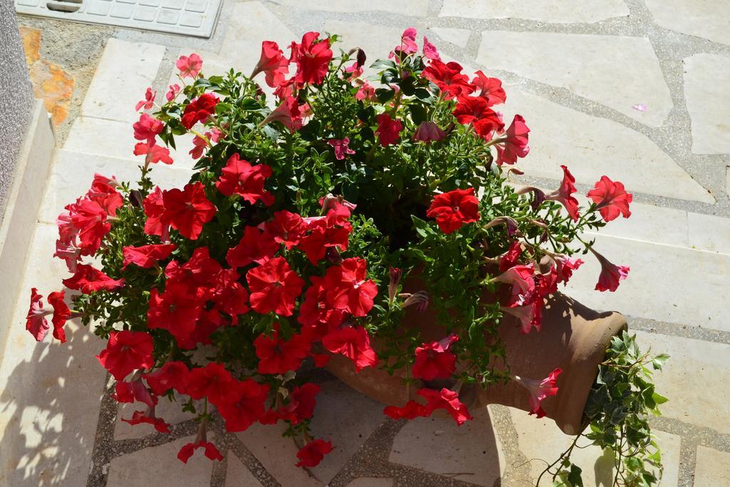 Apartments Oklopcic Trogir Dış mekan fotoğraf